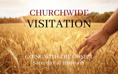 Churchwide Visitation